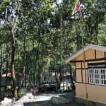 Aritar-Jungle-Retreat
