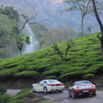 Tea-Gardens-of-Ooty