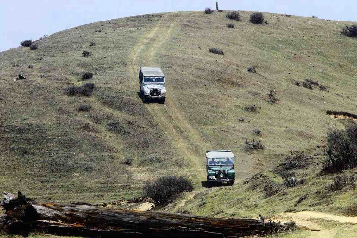 Sandakphu-to-Phalut