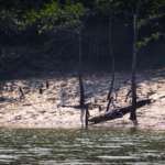 Sundarban-Trip