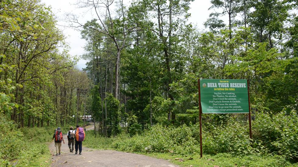 Buxa-Tiger-Reserve-Forest