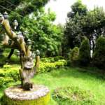 Dhardo-Retreat-Kalimpong-Hotels-and-Resort-Garden-Area