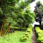 Dhardo-Retreat-Kalimpong-Hotels-and-Resort-Garden-View