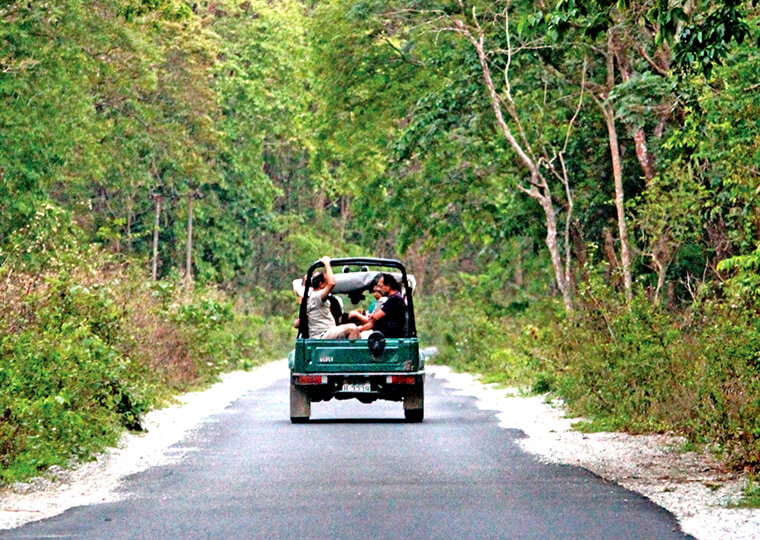 Jeep-Safari-in-Buxa-Tiger-Reserve