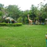 Joychandi Pahar Resort green ground