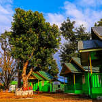 Green wooden cottages at Bara Pathing Eco Hut
