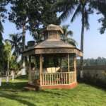 Open field of Tea Resort in Junglee Mohal
