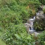 Bon Pahari- Waterfalls