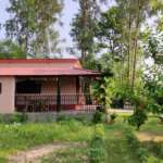 Villa in Bolpur- Side of the room