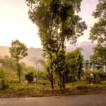 Chakung Homestay- path