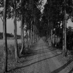 Mousini-Island-roads