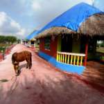 Huts-at-Tajpur