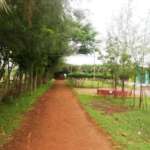 Pathway-to-Tajpur-Village-Hut