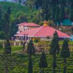 Ghum Tea Villa - Luxury resort near Kolkata