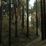 Tinchuley-Nature