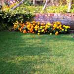 The Ganges Villa - Weekend Resort in Raichak