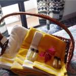 The Ganges Villa - Weekend Resort in Raichak