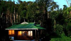 Birder Farm Stay - Borong