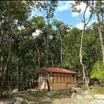 Jungle-Retreat-Aritar