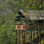 Chongtong-Bamboo-Resort-Tent