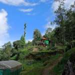 Dawaipani-Retreat-Darjeeling-Outskirt