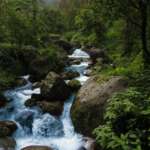 Local-flowing-river-at-Jaldhaka