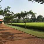 Nomadic-Weekends-Daranda-Shantiniketan