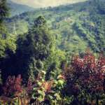 View-From-Balcony-Chongtong-Bamboo-Resort