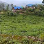 view-from-Mirik-Home-stay