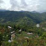 Darjeeling-Trip