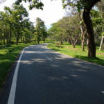 Roads-of-Nilgiri