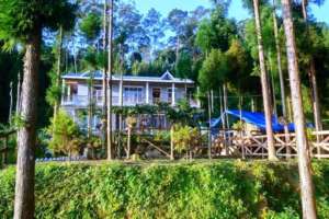 Tinchuley-Pine-View-Farm-House