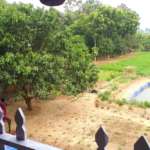 View-from-Balcony-Asan-Nagar