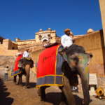 Amber-Fort-Elephant-Ride