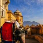Amber-Fort-Elephant-Ride-Jaipur