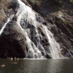 Dudhsagar-Waterfall-Goa