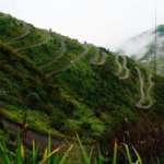 Old-Silk-Route-Green