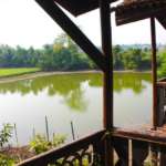Bantala-Farm-House-view-from-Balcony