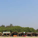 Shacks-on-the-Tajpur-Beach