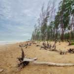 Tajpur-Beach