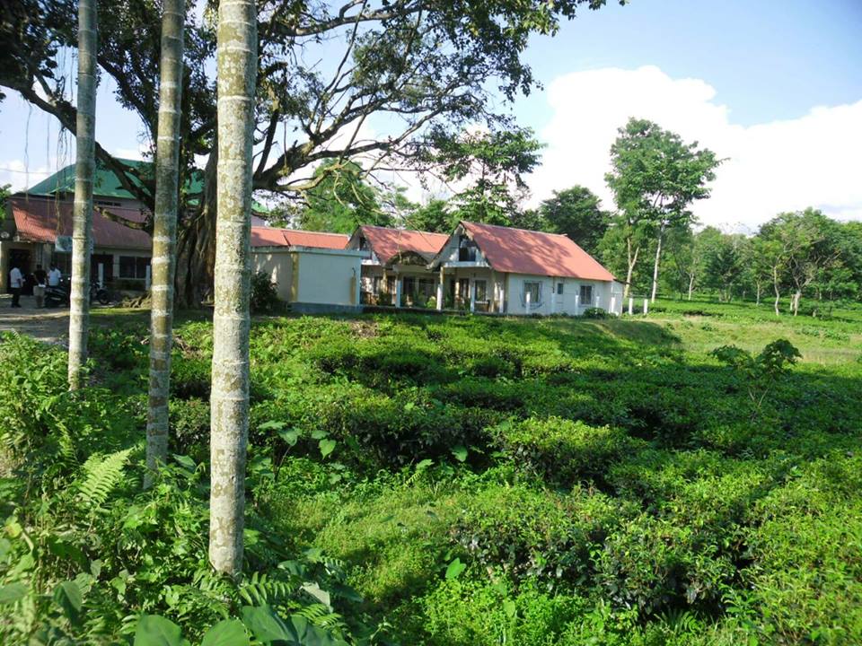 Tea-Garden-Surrounded-Appu-Tea-Estate-Gorumara-Resort