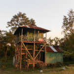 Chilapata-Jungle-Camp-Watch-Tower