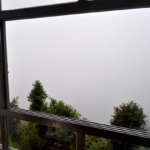 Dreamland-Darjeeling-view-from-room
