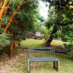 Garden-Area-Dhardo-Retreat-Kalimpong-Hotels-and-Resort