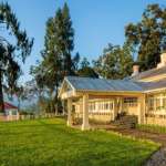 Ging-Tea-House
