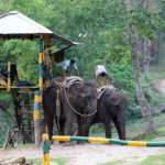 Gorumara-national-Park-Entrance