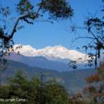 Kanchenjunga-as-Seen-from-Barsey-Jungle-Camp