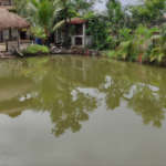 Sundargram-Pond-Area
