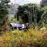 Riverside Cottage Mirik in the middle of greenery