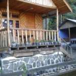 Sangsey Wooden Cottage near kalimpong